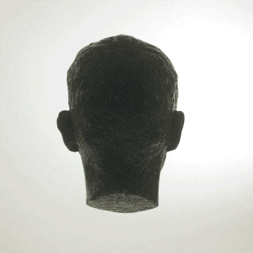 Head rendered with different materials